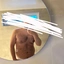 paulvindieesel