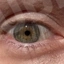 CharlieBrownie6