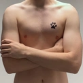 Simba18