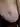 Katta70