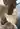 Linnea771