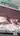Torpet56