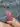 Armlycko
